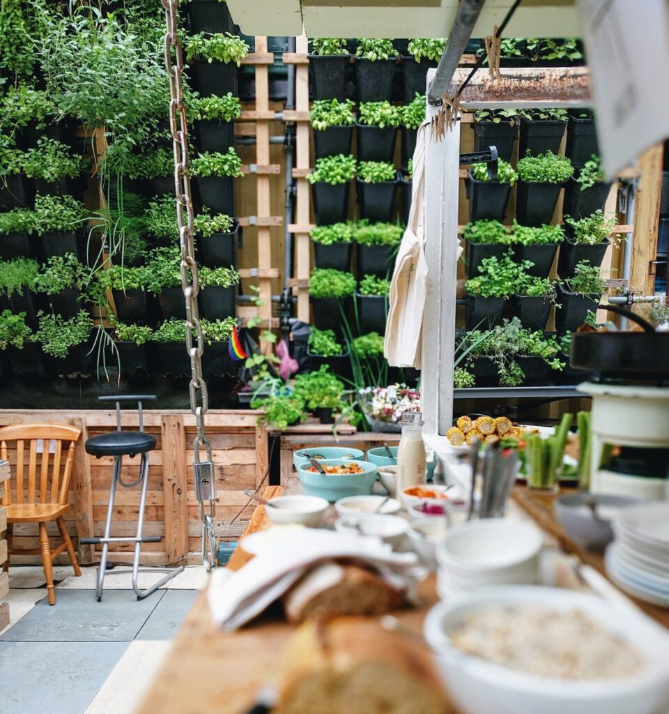 cuisine d'été extérieure couverte urban jungle avec aliments sur la table