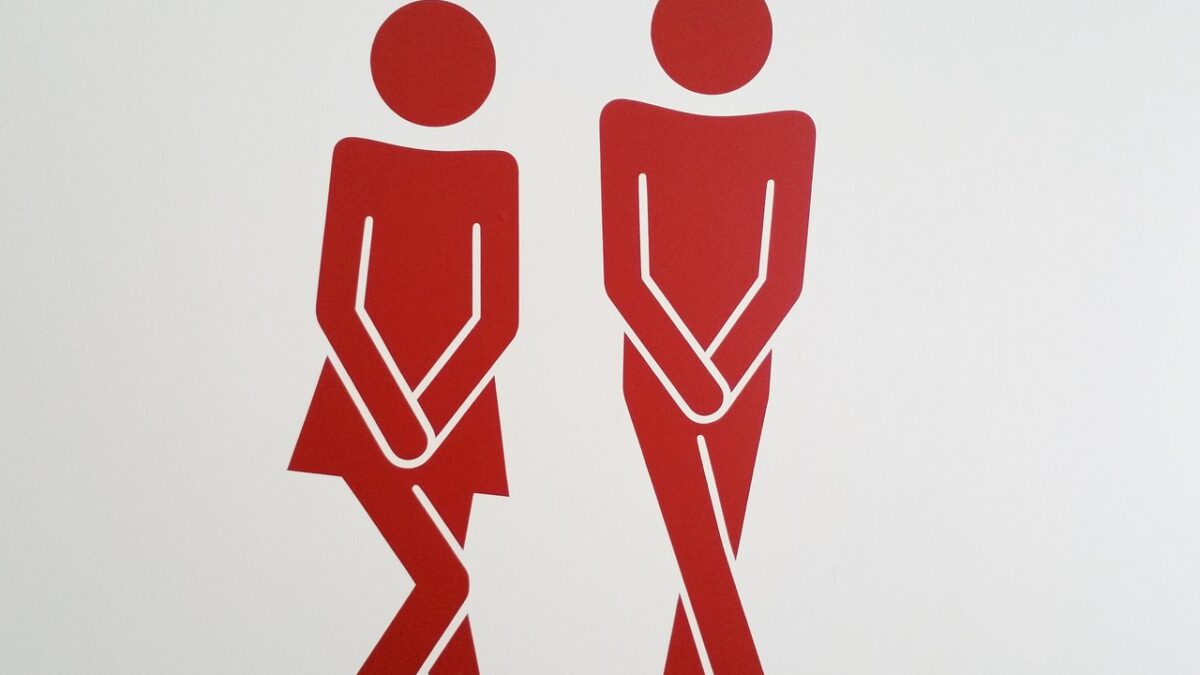 Le guide pratique pour l'installation de toilettes sèches