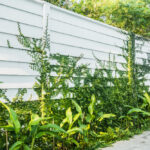 Comment choisir un brise-vue robuste pour son jardin